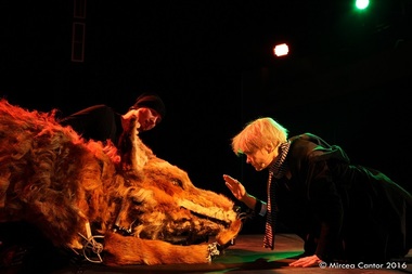 Spectacolul ”Micul Prinţ”, de Antoine de Saint-Exupéry, cu Dorina Chiriac în distribuţie, va avea premiera la Teatrul de Comedie