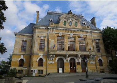 Sute de mii de obiecte de patrimoniu de la Muzeul Judeţean Botoşani, printre care şi picturi de Luchian, au valori de inventar de câţiva lei fiecare