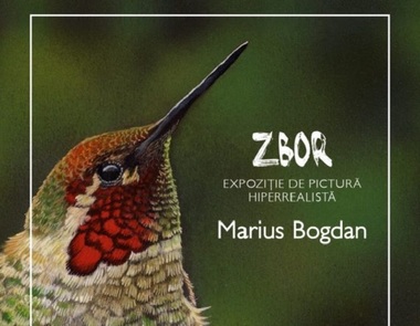 Treizeci de picturi miniaturale, expuse sub numele ”Zbor”, la Muzeul ”Grigore Antipa”