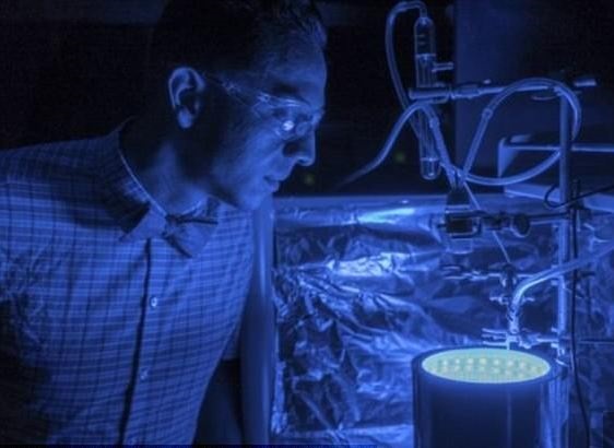 Fotosinteza artificială, care ar putea să cureţe aerul poluat şi să producă energie, inventată în Statele Unite