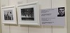 John F. Kennedy în 77 de imagini, la Biblioteca Naţională. Expoziţia va fi itinerată în 30 de ţări - FOTO