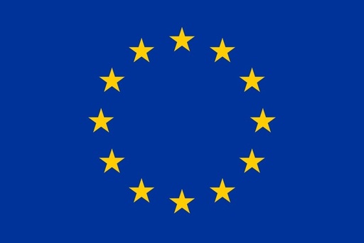 Statele din UE au cerut reţelelor de socializare să limiteze discursurile care incită la ură