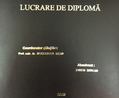Jurnalista Emilia Şercan, acuzată că a plagiat în lucrarea de licenţă