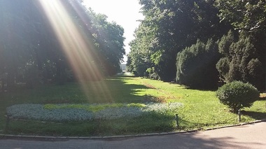 DOCUMENTAR: Grădini publice de Bucureşti. Cişmigiu, ridicată pe Lacul lui Dura Neguţătorul, "Maidanul Icoanei", transformat la 1832, iar Botanica are chiparoşi bătrâni de 120 de ani