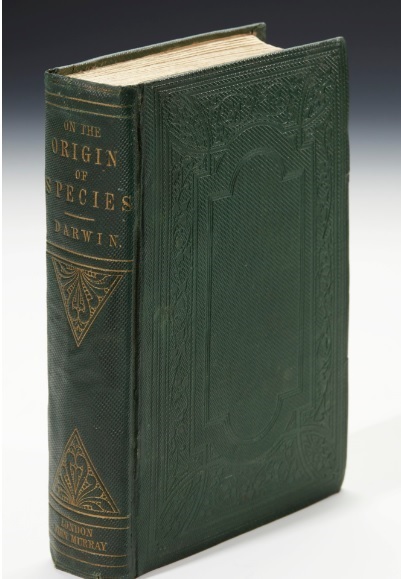 O scrisoare a lui Jane Austen către nepoata ei şi cartea lui Darwin despre originea speciilor, vândute fiecare pentru 162.500 de lire sterline la Sotheby's 
