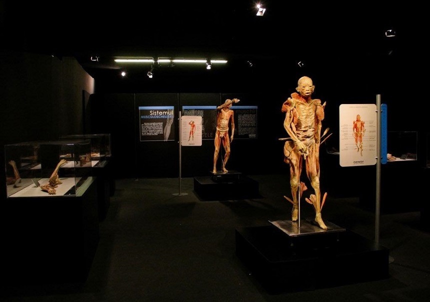 Expoziţia „Our Body: Universul Interior”, care prezintă corpuri umane reale şi secţiuni, va fi deschisă la Constanţa