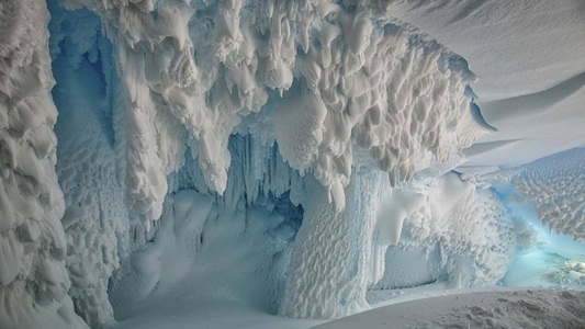 Specii necunoscute ar trăi sub gheaţa Antarcticii - studiu