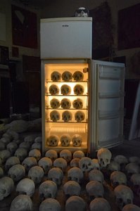 Un nor gigantic într-o cuşcă şi aproximativ o mie de cranii umane, în cadrul unei expoziţii pe o stradă din Timişoara