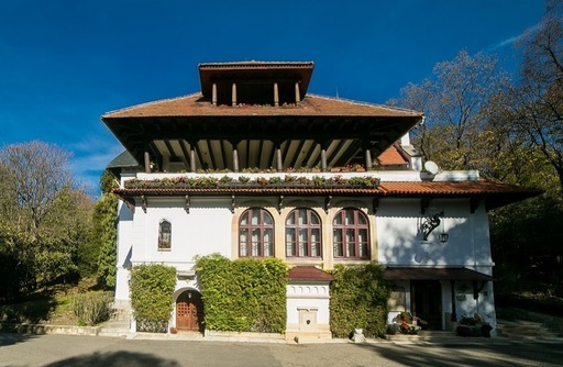 CCR declară neconstituţională legea pentru achiziţionarea de către stat a ”Vilei Florica”. Ministerul Culturii a preluat însă imobilul, în urmă cu două săptămâni