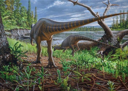 Resturi fosilizate ale unui dinozaur ierbivor, care a trăit în urmă cu 113 milioane de ani, descoperite în Australia