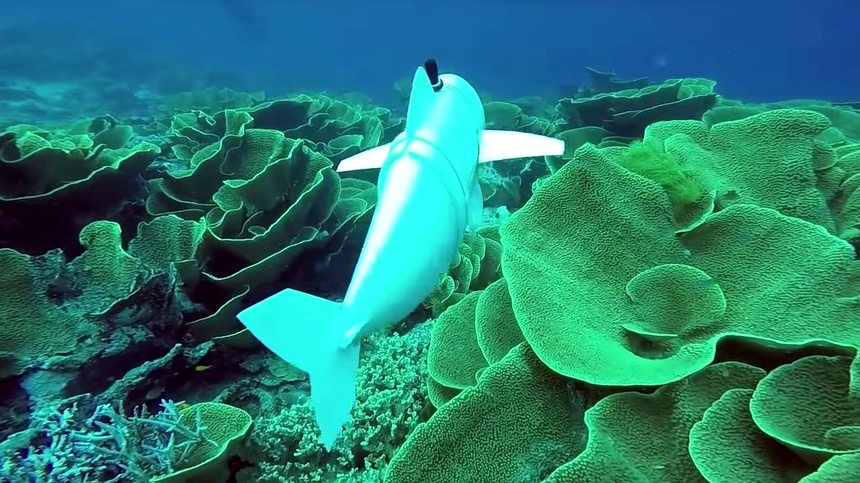 Oamenii de ştiinţă folosesc un peşte robotic pentru a studia oceanele, în cadrul unui proiect în care printre iniţiatori se numără şi un român