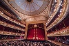 Premieră: Un violist al cărui auz a fost afectat ireversibil în timpul unei repetiţii la Royal Opera House a câştigat procesul intentat instituţiei