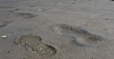 Urme ale prezenţei omului datând de acum 13.000 de ani au fost descoperite în America de Nord - studiu