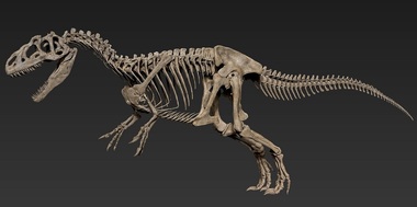 Scheletele a trei dinozauri, scoase la licitaţie la Paris

