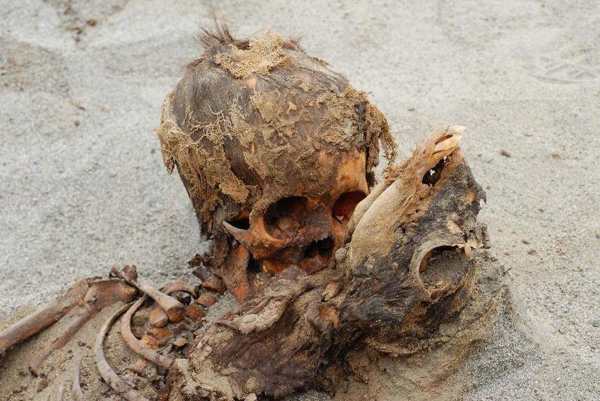 Arheologii au descoperit în Peru urmele celui mai mare sacrificiu colectiv de copii din America