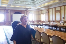 Doina Gradea, audiată în Comisia de cultură doar în prezenţa membrilor PSD-ALDE. Membrii PNL, USR şi PMP au părăsit sala