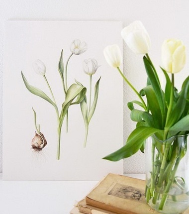 "Life of Bulbs", prima expoziţie de ilustraţie botanică, vernisată la Bucureşti şi Cluj de designerul Irina Neacşu