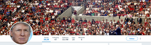 Contul de Twitter al lui Trump, între cele afectate de verificarea fanilor făcută de platforma online