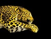 Oficialii Festivalului de Film de la Locarno au semnat un angajament pentru egalitate şi incluziune

