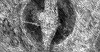 Rămăşiţele unei corăbii vikinge, descoperite în Norvegia