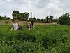 Tehnica fabricării parfumurilor din localitatea franceză Grasse, inclusă de UNESCO în patrimoniul cultural imaterial al umanităţii