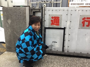 Autorităţile de la Tokyo fac o anchetă privind un desen stradal care ar putea fi realizat de Banksy