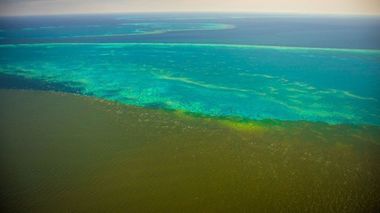 Australia - Apa murdară din viituri a ajuns la Marea Barieră de Corali