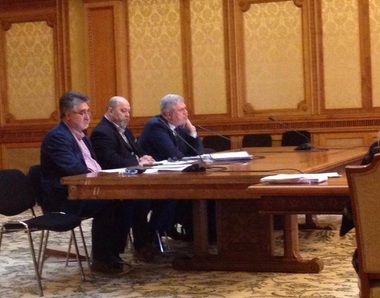 Severin, alături de cei care au dus la demiterea lui Şeuleanu de la şefia RR, la audierea din Comisia pentru cultură: E foarte greu să mulţumeşti toţi angajaţii 
