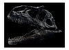 Patru schelete de dinozaur din perioadele Jurasic şi Cretacic superior, licitate la Paris