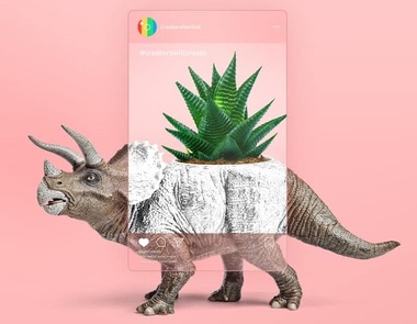 Festivalul creatorilor de conţinut pentru Instagram, pe 21 aprilie