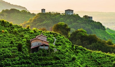 Complexul regal din Mafra, colinele viticole din Prosecco şi clădiri proiectate de Frank Wright, pe lista Patrimoniului mondial UNESCO