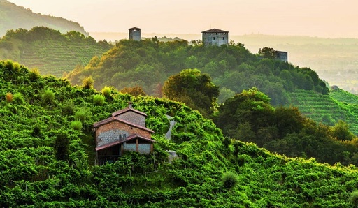 Complexul regal din Mafra, colinele viticole din Prosecco şi clădiri proiectate de Frank Wright, pe lista Patrimoniului mondial UNESCO