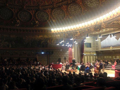 Aproximativ 36.000 de euro, strânşi în urma concertului pentru antropologul Vintilă Mihăilescu 