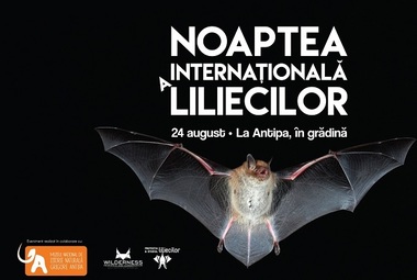 Noaptea Internaţională a Liliecilor, la Muzeul "Grigore Antipa"
