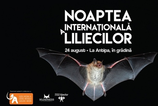 Noaptea Internaţională a Liliecilor, la Muzeul "Grigore Antipa"