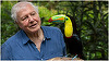 David Attenborough va realiza un nou serial documentar, "Life in Color", pentru BBC, Nine Network şi Netflix