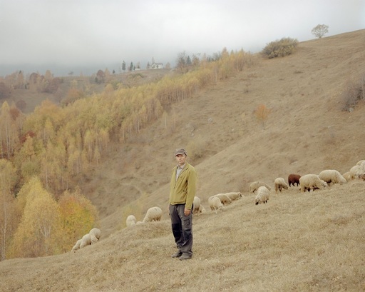 Invitaţi de renume internaţional, la Bucharest Photofest 2019. Conservarea - tema centrală