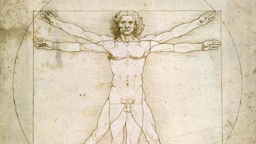 "Omul Vitruvian" al lui Leonardo da Vinci va fi expus la Muzeul Luvru 