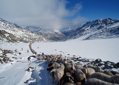 Transhumanţa, alpinismul şi ritualuri din Belarus şi Bolivia, incluse pe Lista Patrimoniului Imaterial UNESCO