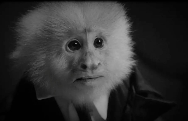 Netflix a prezentat un scurtmetraj inedit de David Lynch în care cineastul anchetează o maimuţă acuzată de crimă