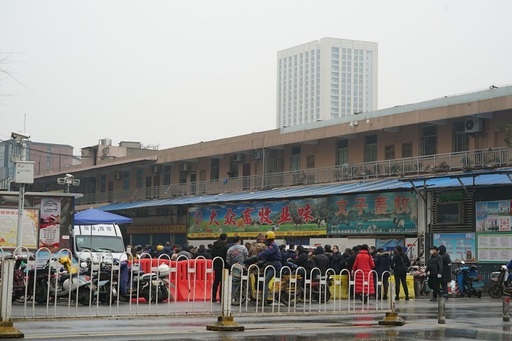 Carnea de şarpe, posibila sursă a noului coronavirus 2019‐nCoV, care provoacă forma letală de pneumonie din China

