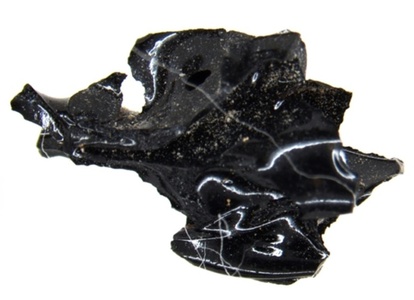 O rocă neagră dintr-o erupţie vulcanică din anul 79 este, de fapt, o bucată de creier explodat