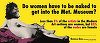 Art Safari 2020 - Prima expoziţie în România a grupului american fenomen mondial Guerrilla Girls şi programe dedicate pictorilor Bălaşa şi Petraşcu 