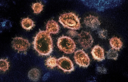 Famotidina, medicament utilizat în tratamentul ulcerului gastroduodenal, poate fi eficient în cazul Covid-19

