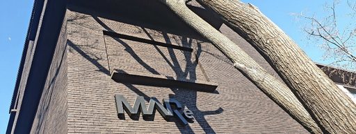 Muzeul de Artă Recentă va lansa o campanie de achiziţie de lucrări româneşti