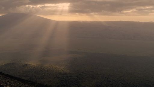 Leonardo DiCaprio sprijină lansarea unui fond de 2 milioane de dolari pentru parcul naţional Virunga