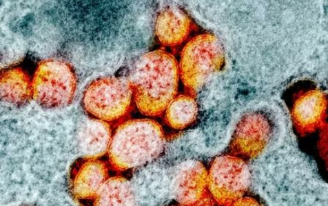 Coronavirusul actual este mai infecţios decât variantele iniţiale - studiu