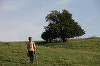 Scurtmetraje de Mihai Dragolea şi Anghel Damian, selectate la Festivalul Internaţional de Film de la Odense