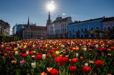 Clujul este în finala competiţiei pentru titlul de Capitală Europeană a Inovării. Premiul este de un milion euro