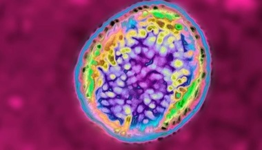 China - Mai mult de 3.000 de îmbolnăviri după ce o bacterie a fost scăpată dintr-un laborator
